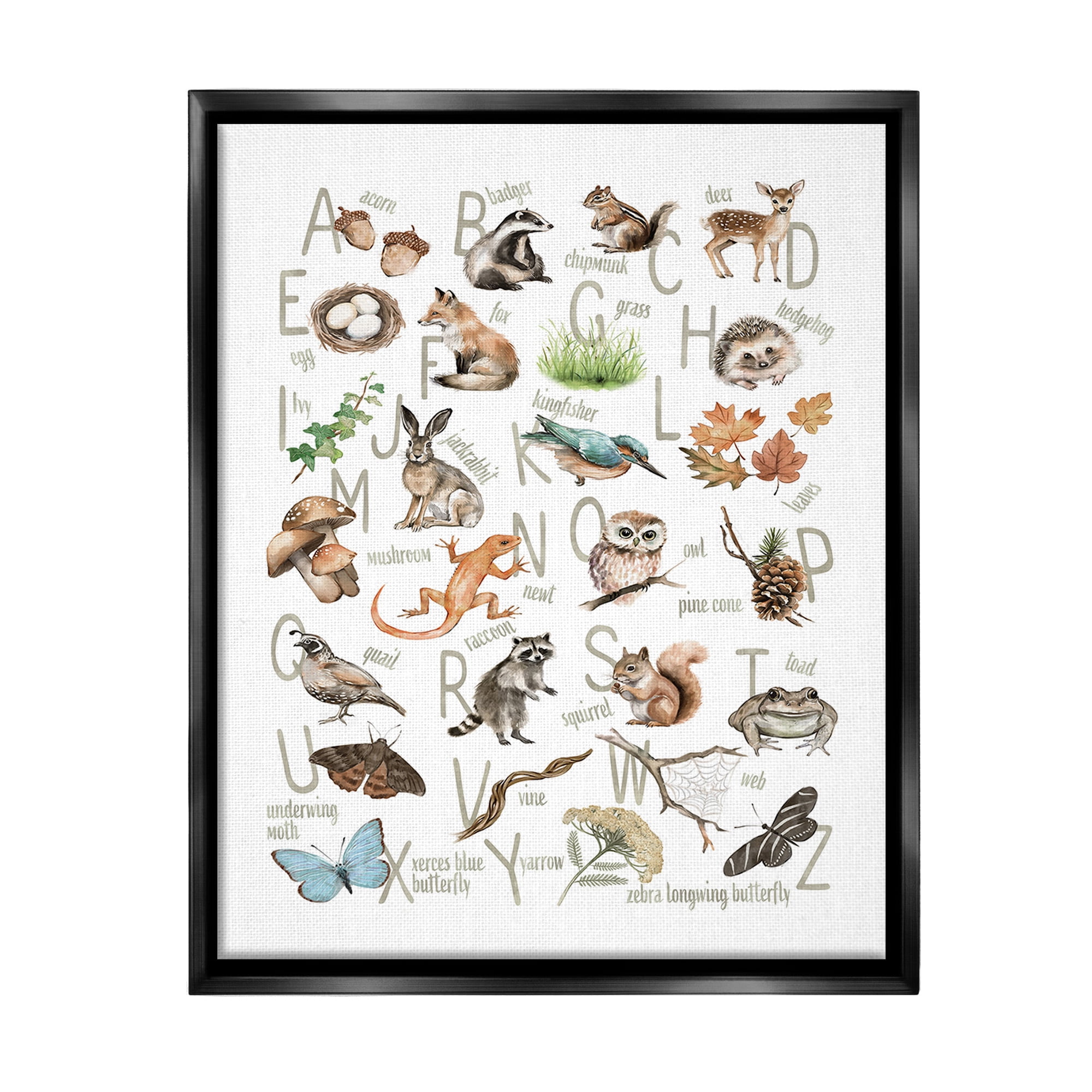 Stupell Industries Woodland Nature Alphabet Animals & Insects Painting Black Floater Framed Canvas Art Print Wall Art, 17 x 21
