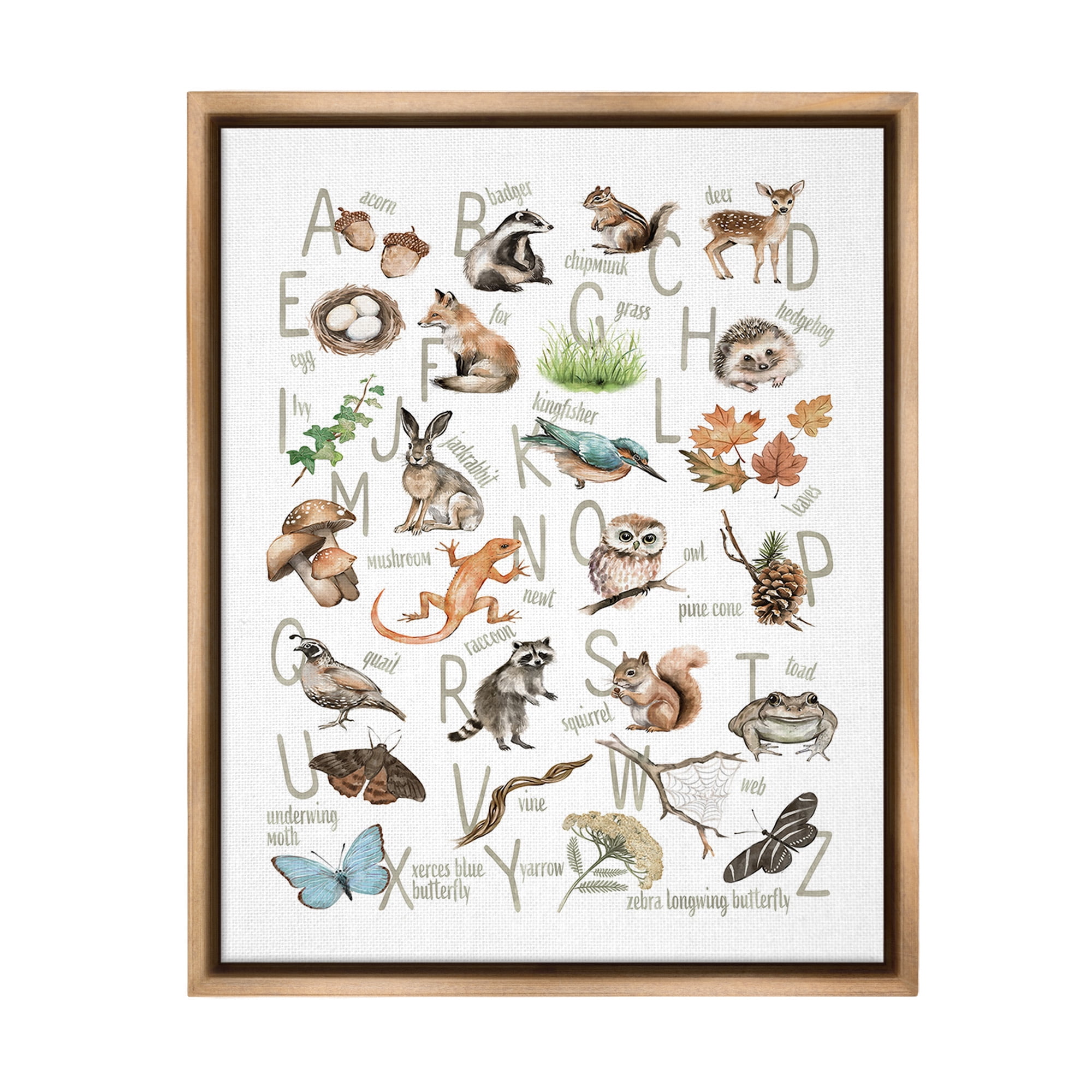 Stupell Industries Woodland Nature Alphabet Animals & Insects Painting Brown Floater Framed Canvas Art Print Wall Art, 17 x 21