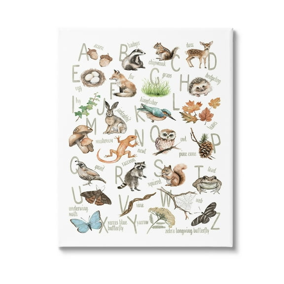 Stupell Industries Woodland Nature Alphabet Animals & Insects Painting Gallery Wrapped Canvas Art Print Wall Art, 16 x 20