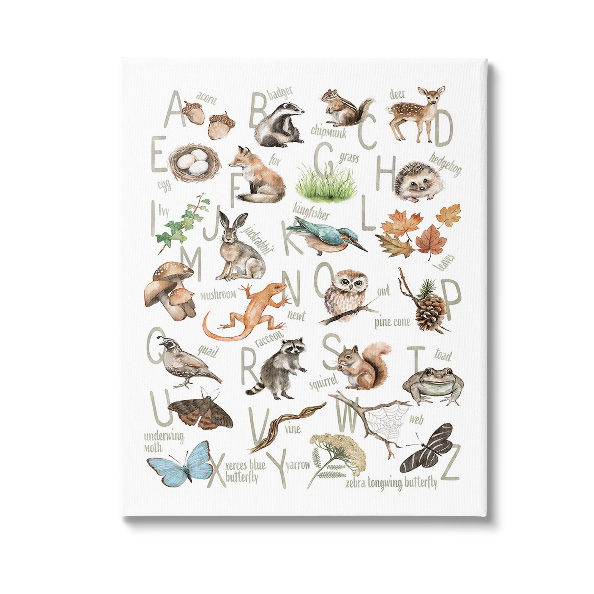 Stupell Industries Woodland Nature Alphabet Animals & Insects Painting Gallery Wrapped Canvas Art Print Wall Art, 24 x 30