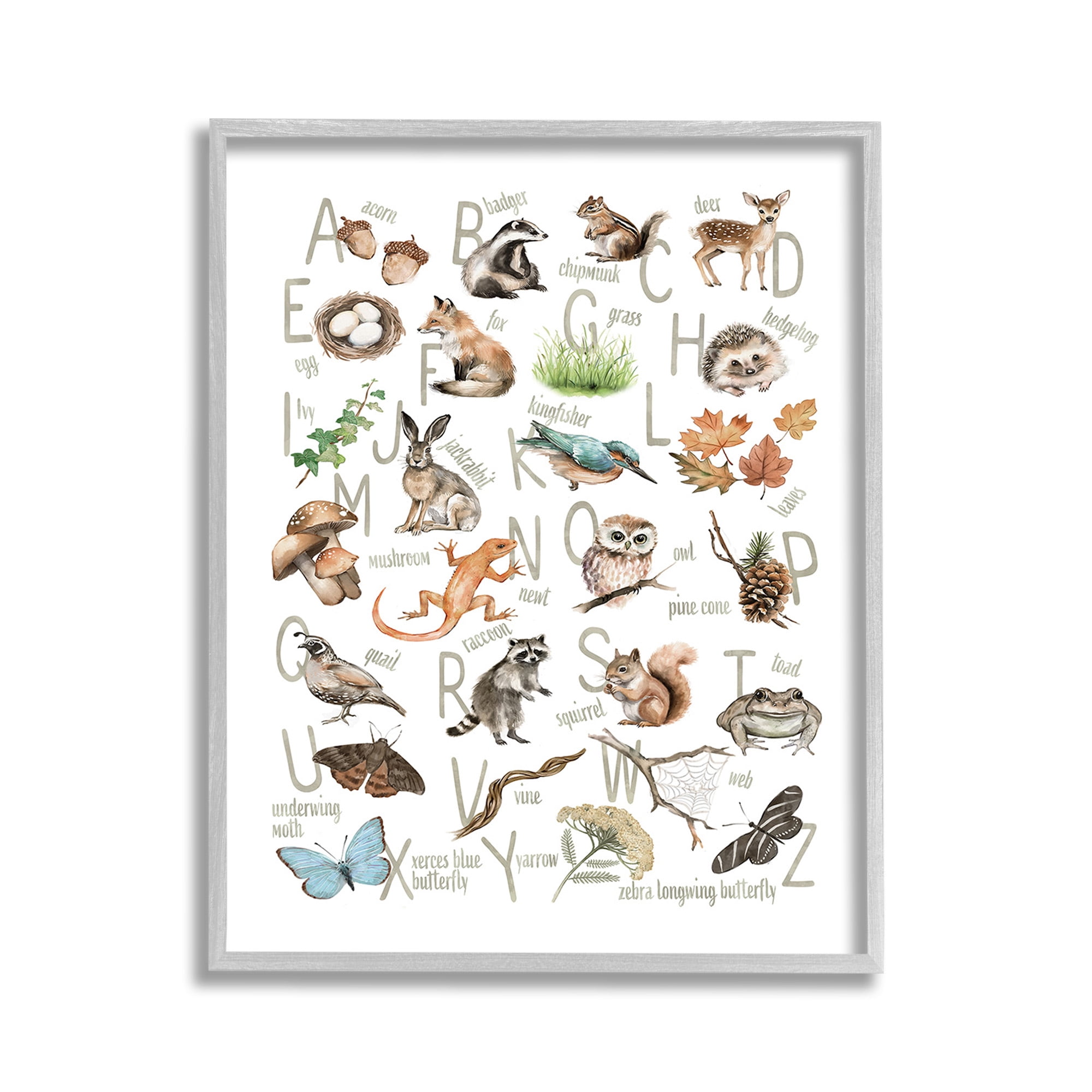 Stupell Industries Woodland Nature Alphabet Animals & Insects Painting Gray Framed Art Print Wall Art, 11 x 14
