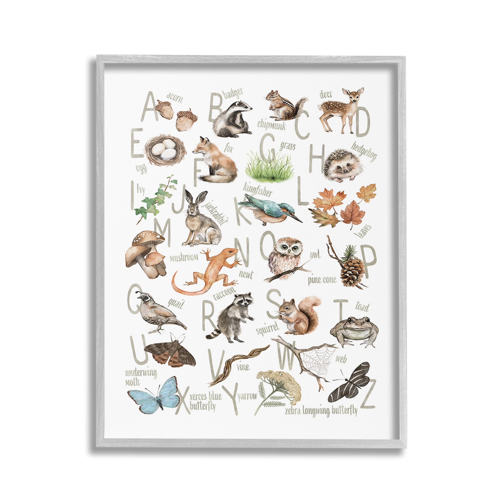 Stupell Industries Woodland Nature Alphabet Animals & Insects Painting Gray Framed Art Print Wall Art, 24 x 30