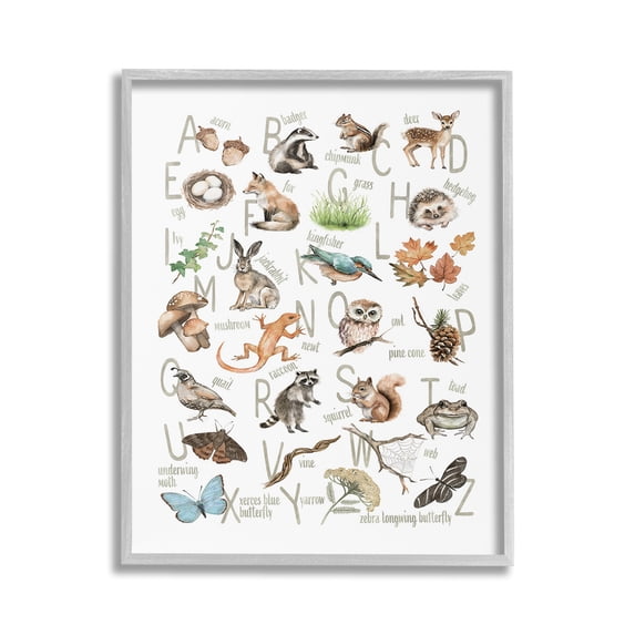 Stupell Industries Woodland Nature Alphabet Animals & Insects Painting Gray Framed Art Print Wall Art, 24 x 30
