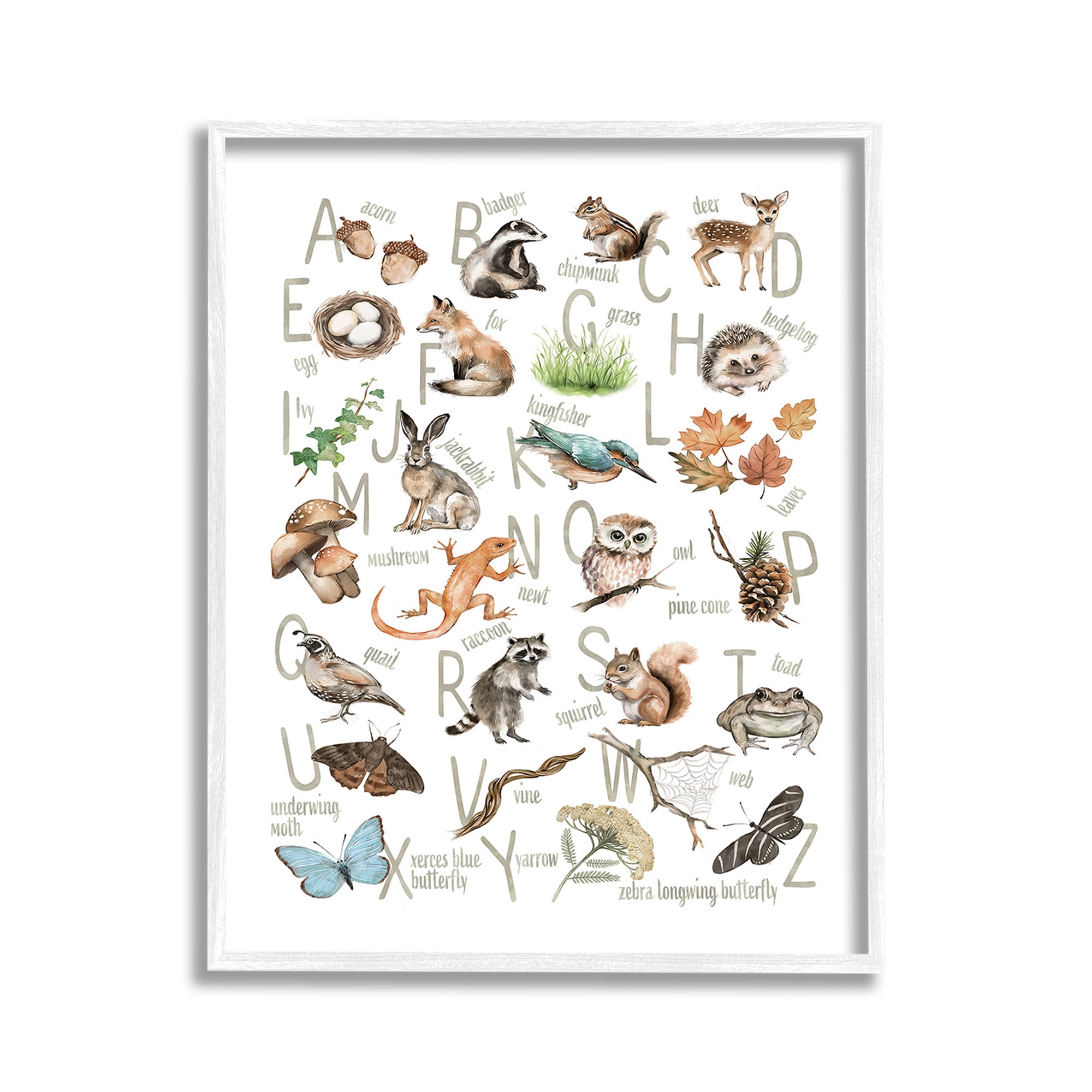 Stupell Industries Woodland Nature Alphabet Animals & Insects Painting White Framed Art Print Wall Art, 11 x 14
