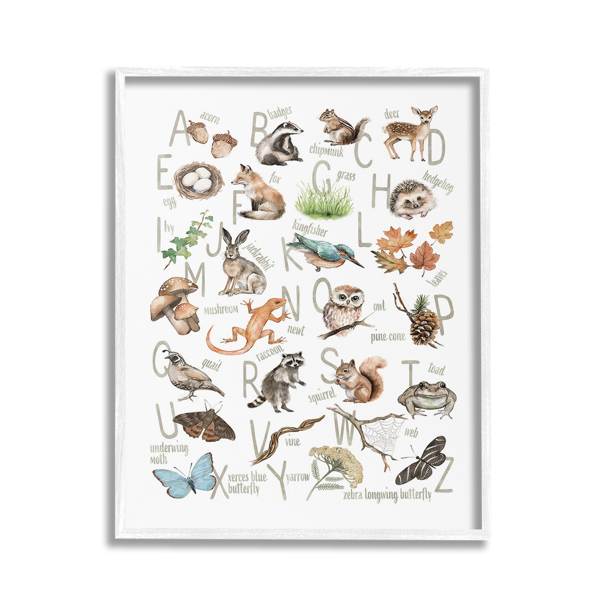 Stupell Industries Woodland Nature Alphabet Animals & Insects Painting White Framed Art Print Wall Art, 16 x 20