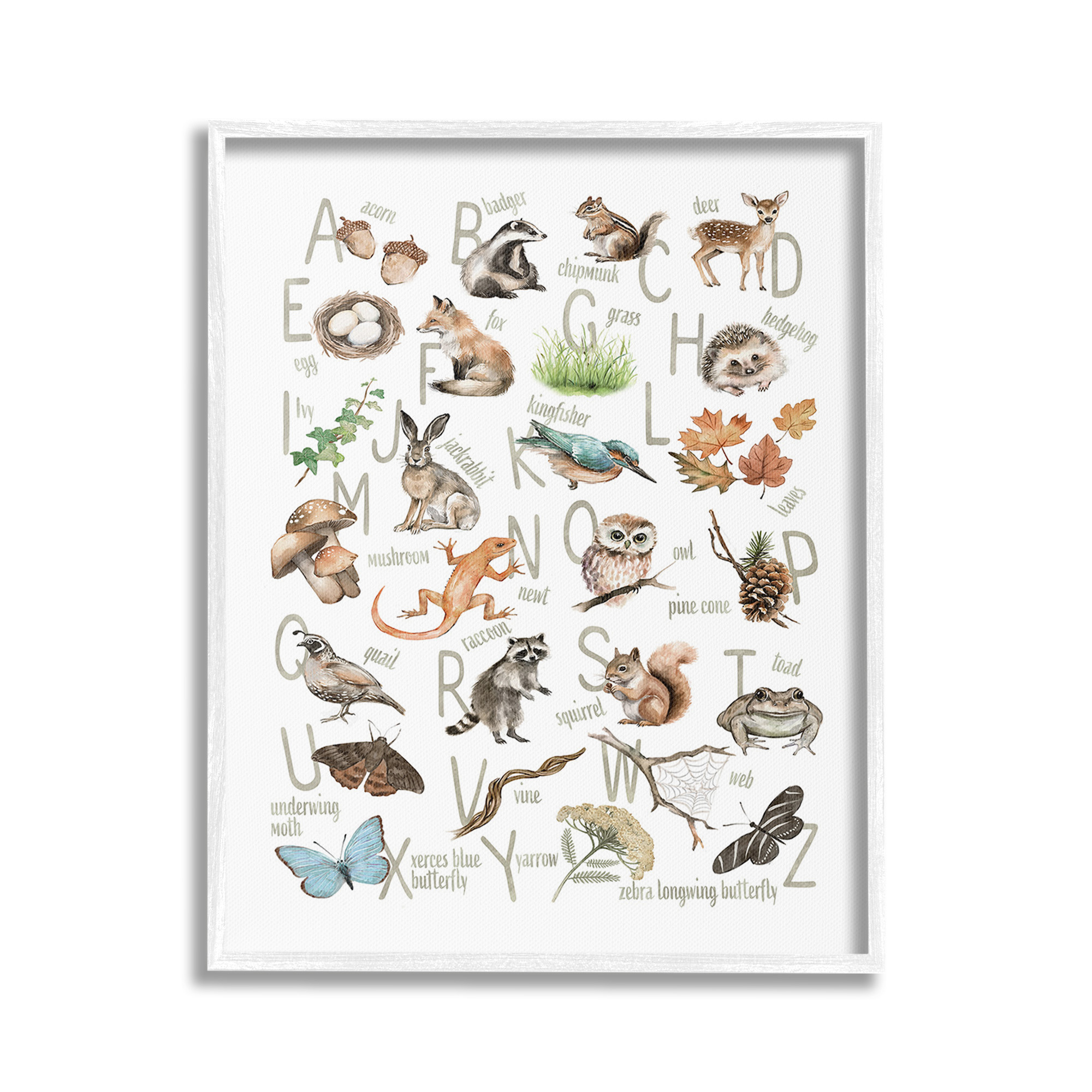 Stupell Industries Woodland Nature Alphabet Animals & Insects Painting White Framed Art Print Wall Art, 24 x 30