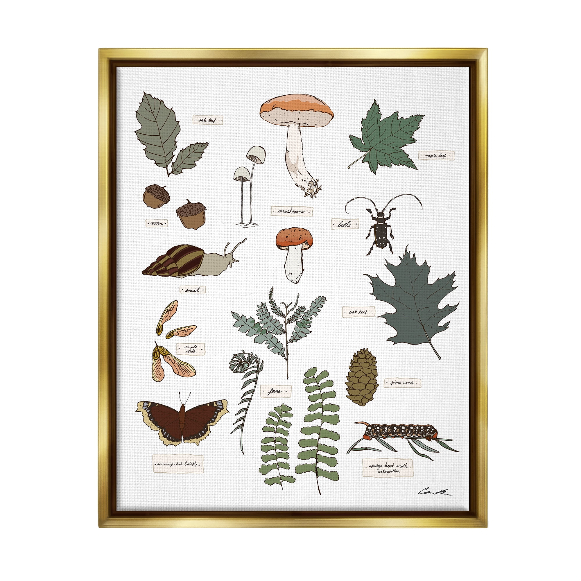 Stupell Industries Woodland Nature Studies Botanical & Floral Painting Gold Floater Framed Art Print Wall Art, 25 x 31
