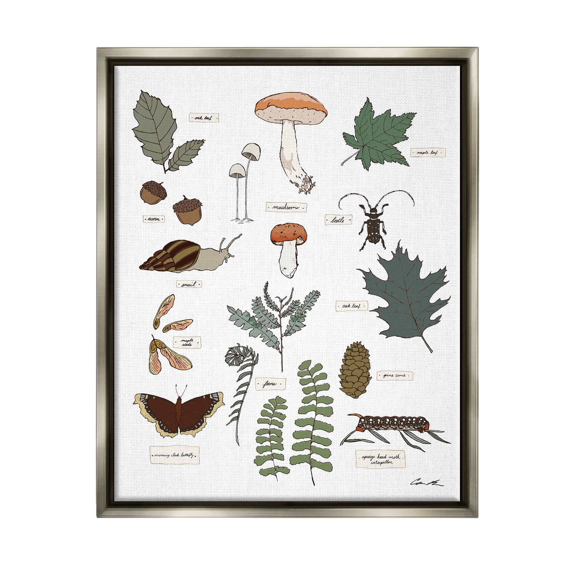 Stupell Industries Woodland Nature Studies Botanical & Floral Painting Gray Floater Framed Art Print Wall Art, 25 x 31