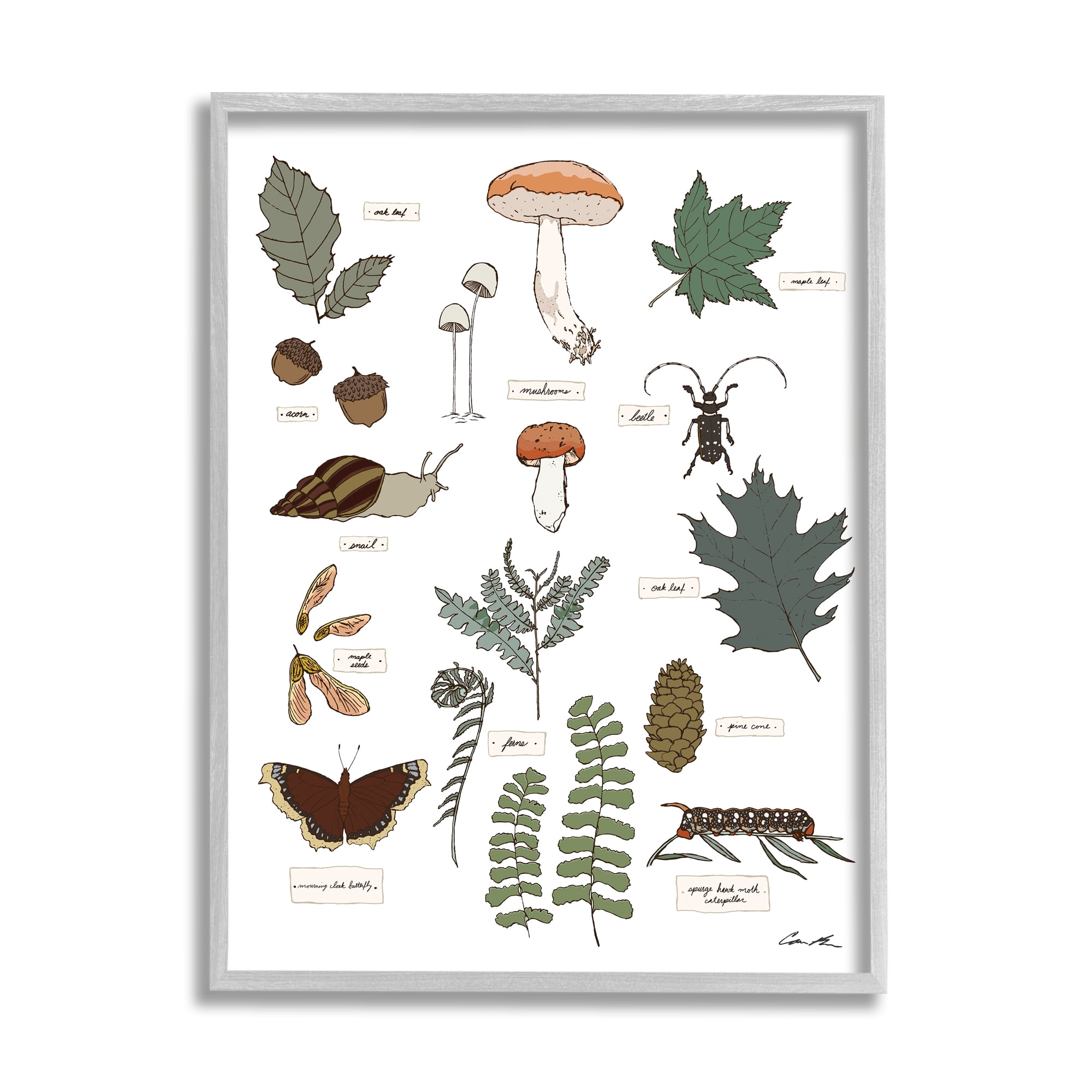 Stupell Industries Woodland Nature Studies Botanical & Floral Painting Gray Framed Art Print Wall Art, 24 x 30