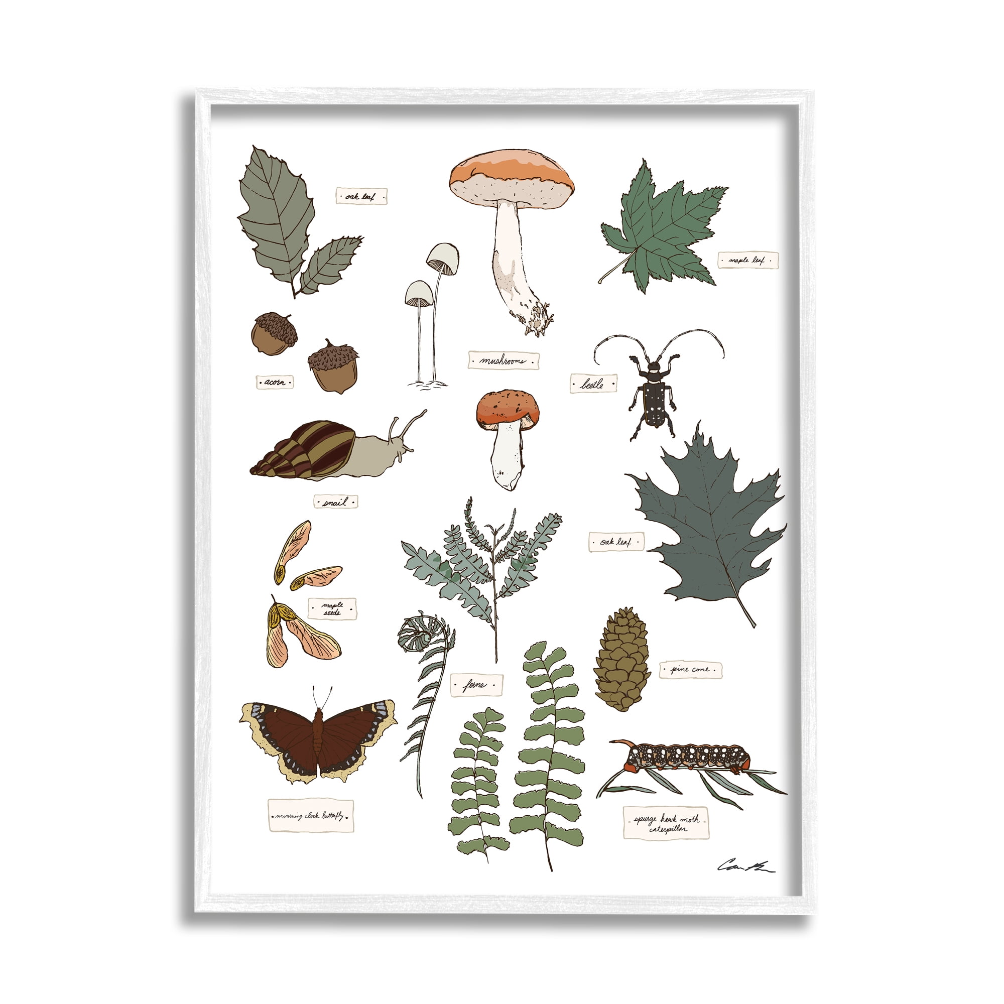 Stupell Industries Woodland Nature Studies Botanical & Floral Painting White Framed Art Print Wall Art, 16 x 20