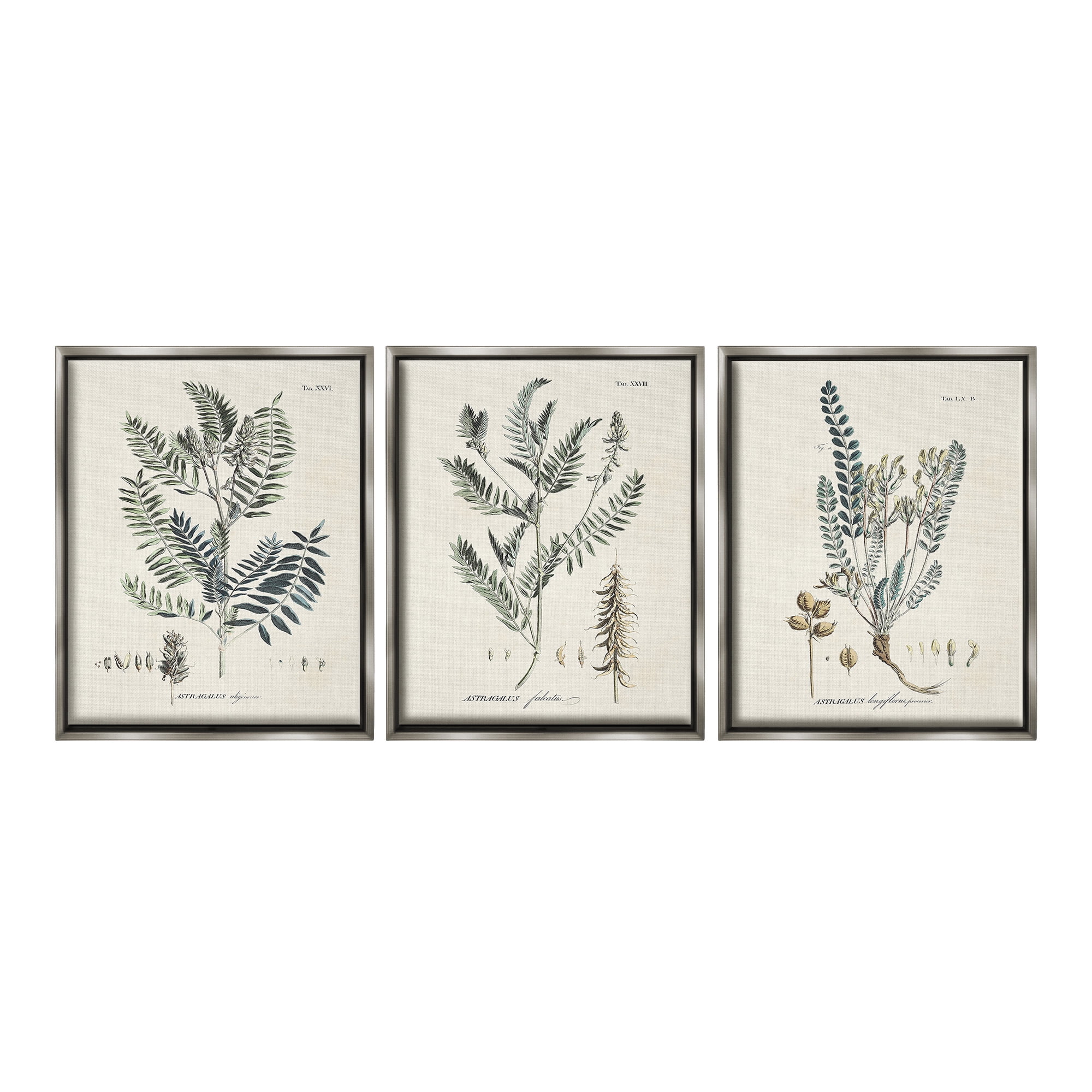 Stupell Industries Woodland Plant Studies Botanical & Floral Painting Gray Floater Framed Canvas Art Print Wall Art, 17 x 21, Set of 3