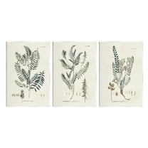 Stupell Industries Woodland Plant Studies Botanical & Floral Painting Unframed Art Print Wall Art, 10 x 15, Set of 3