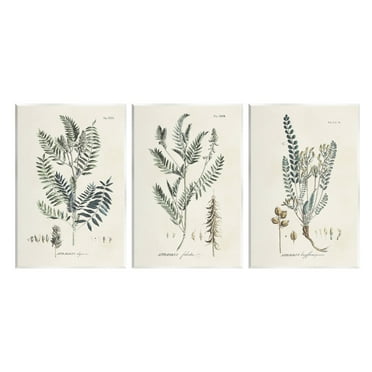 Stupell Industries Woodland Plant Studies Botanical & Floral Painting Unframed Art Print Wall Art, 10 x 15, Set of 3
