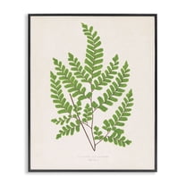 Stupell Industries Woodland Sprigs Study Floral Painting Black Framed Art Print Wall Art, 11 x 14