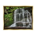 thumbnail image 1 of Stupell Industries Woodland Waterfall Nature Creek Landscape Photography Gold Floater Framed Art Print Wall Art, 1 of 6
