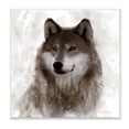 thumbnail image 1 of Stupell Industries Woodland Wild Wolf Portrait Abstract Fir Tree Forest, 12 x 12, Design by Carol Robinson, 1 of 6