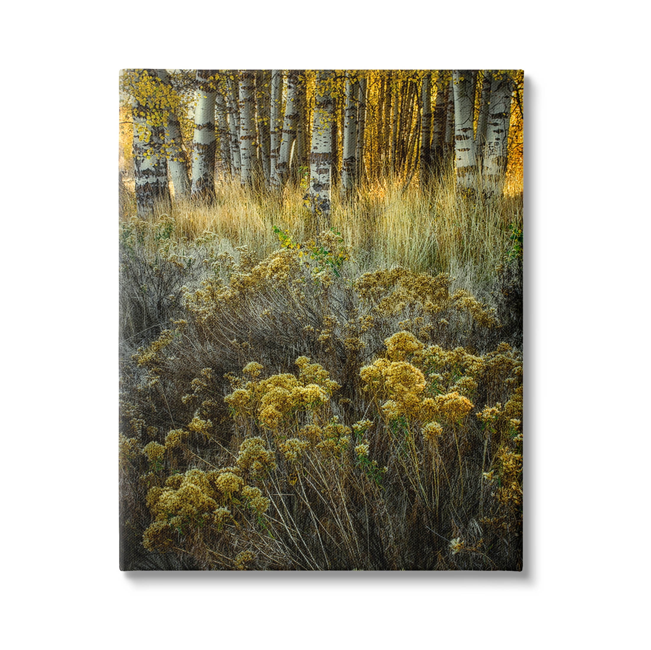 Stupell Industries Woodland Wildlife Plants Yellow Blossoms Photograph Gallery Wrapped Canvas Print Wall Art, Design by David Lorenz