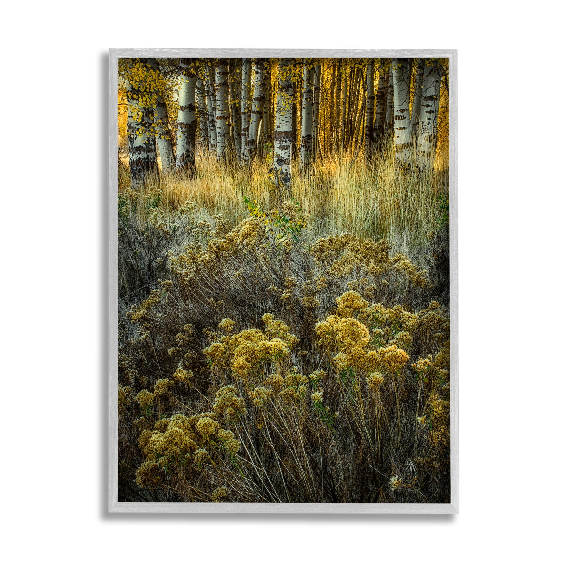 Stupell Industries Woodland Wildlife Plants Yellow Blossoms Photograph Gray Framed Art Print Wall Art, Design by David Lorenz