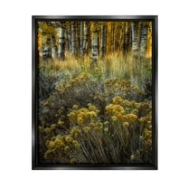 Stupell Industries Woodland Wildlife Plants Yellow Blossoms Photograph Jet Black Floating Framed Canvas Print Wall Art, Design by David Lorenz