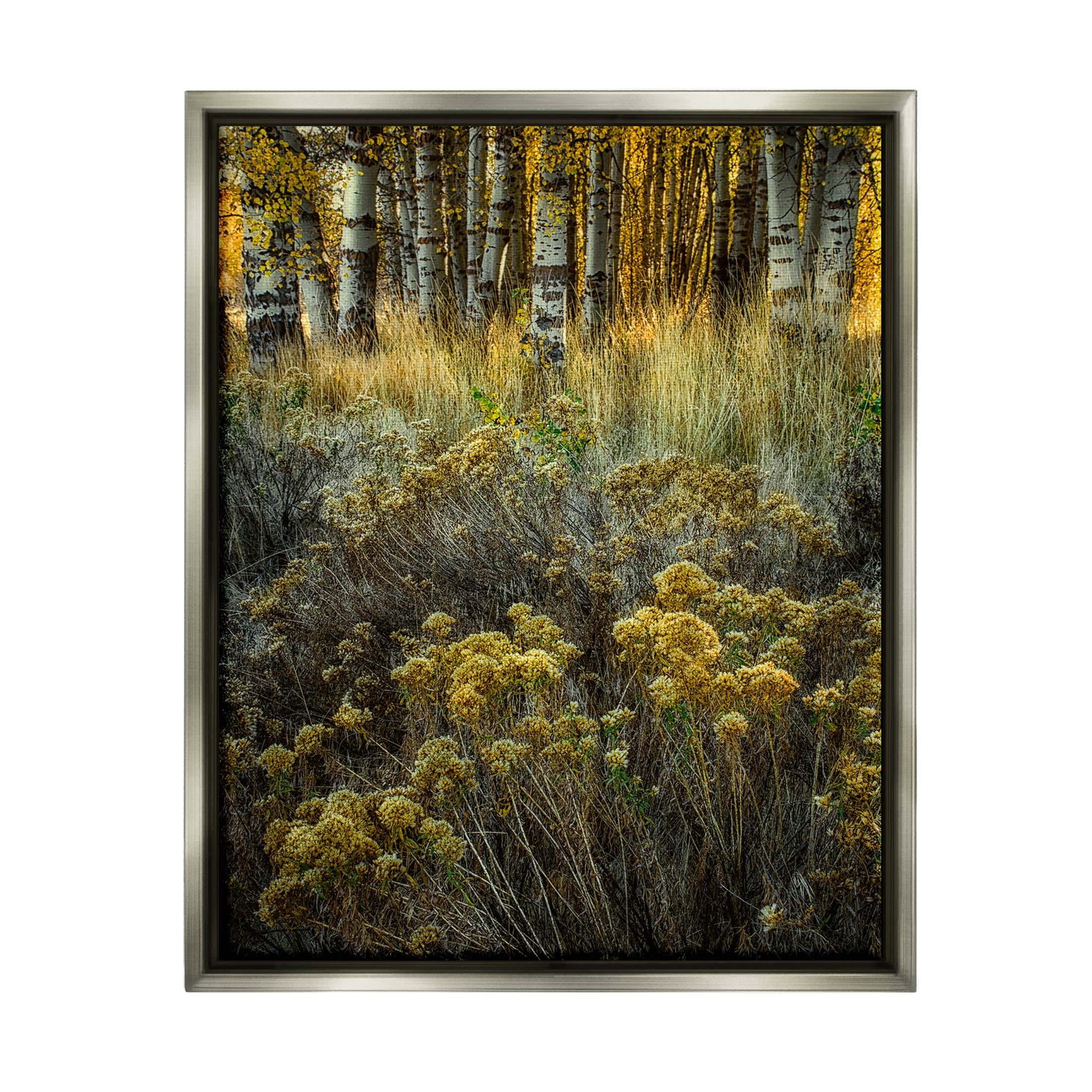 Stupell Industries Woodland Wildlife Plants Yellow Blossoms Photograph Luster Gray Floating Framed Canvas Print Wall Art, Design by David Lorenz