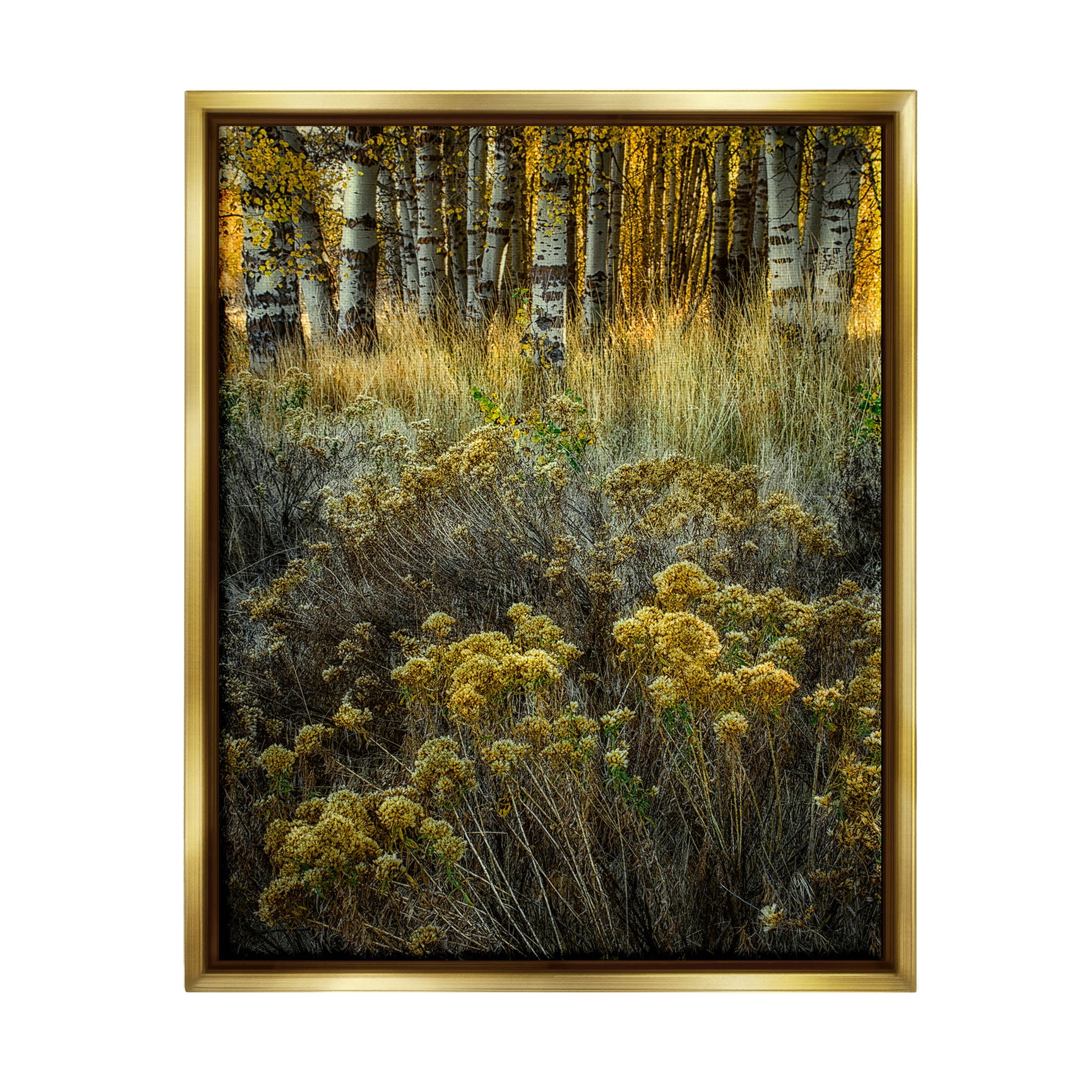 Stupell Industries Woodland Wildlife Plants Yellow Blossoms Photograph Metallic Gold Floating Framed Canvas Print Wall Art, Design by David Lorenz