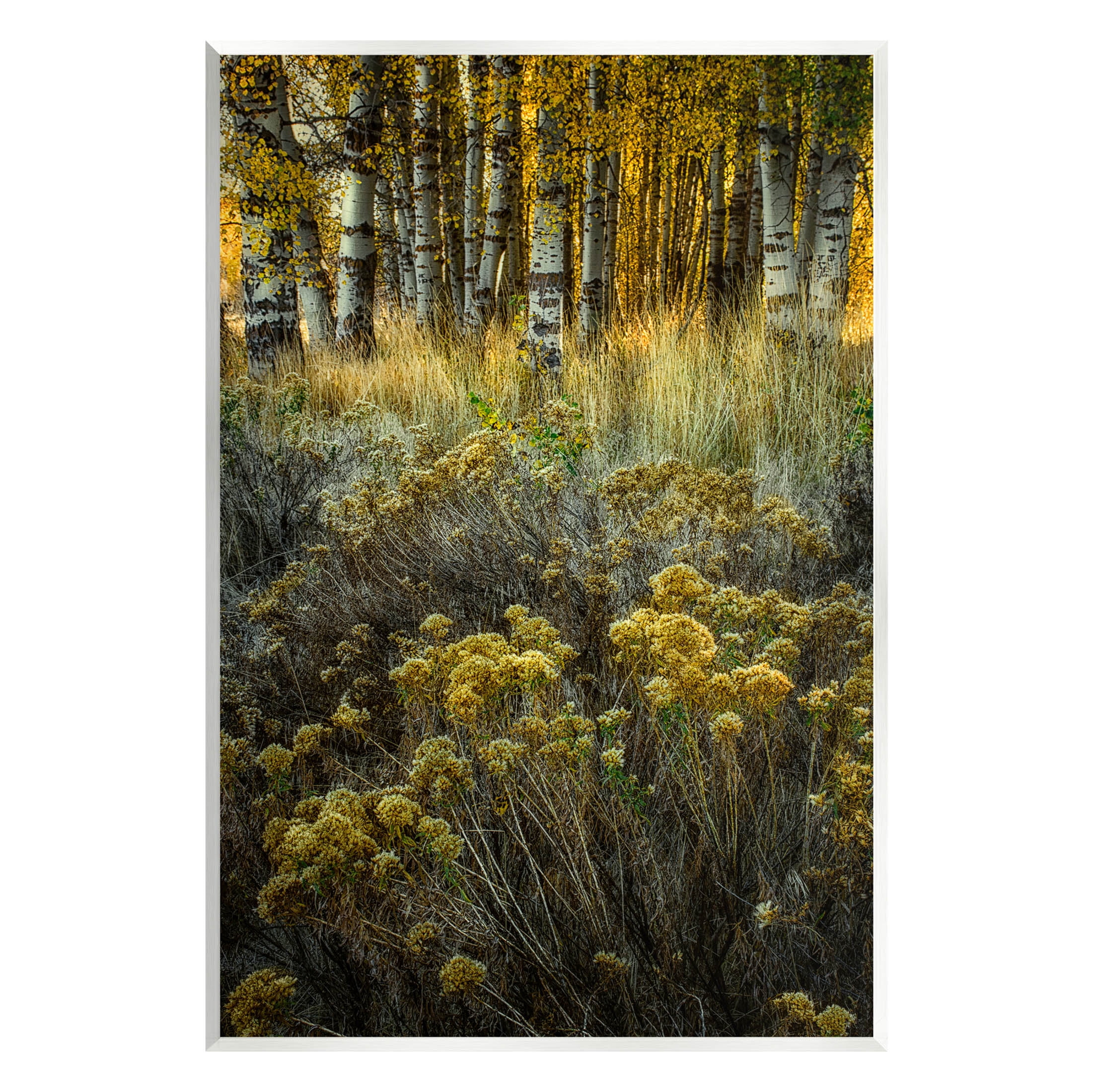 Stupell Industries Woodland Wildlife Plants Yellow Blossoms Photograph Unframed Art Print Wall Art, Design by David Lorenz