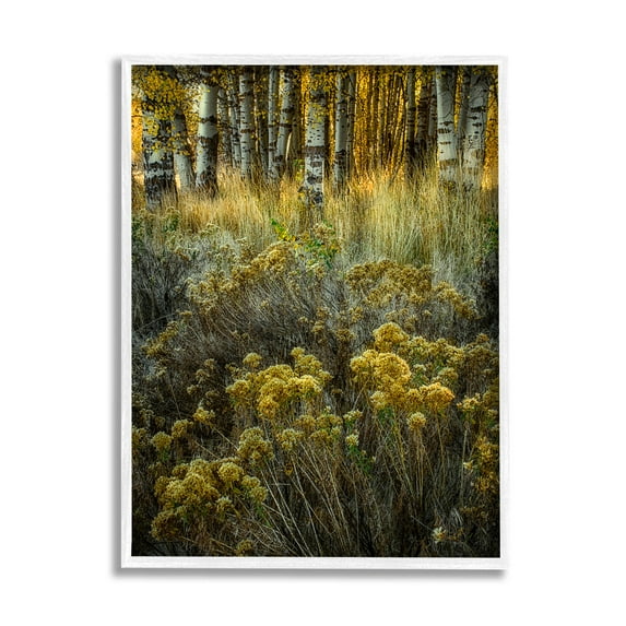 Stupell Industries Woodland Wildlife Plants Yellow Blossoms Photograph White Framed Art Print Wall Art, Design by David Lorenz