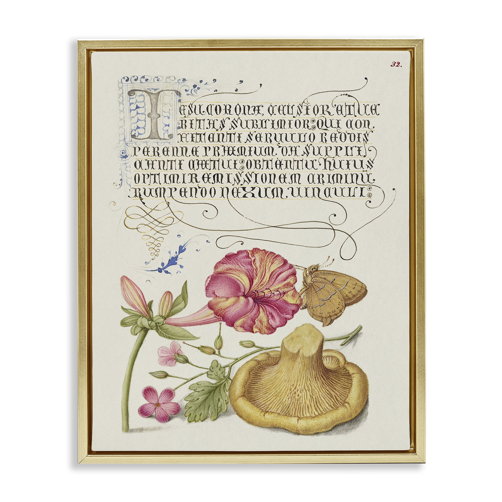 Stupell Industries Woodland Wildlife Study Text & Numbers Painting Gold Floater Framed Canvas Art Print Wall Art, 25 x 31