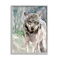 thumbnail image 1 of Stupell Industries Woodlands Coyote Watercolor Effect Wildlife Portrait Framed Wall Art, 11 x 14, Design by Stellar Design Studio, 1 of 5
