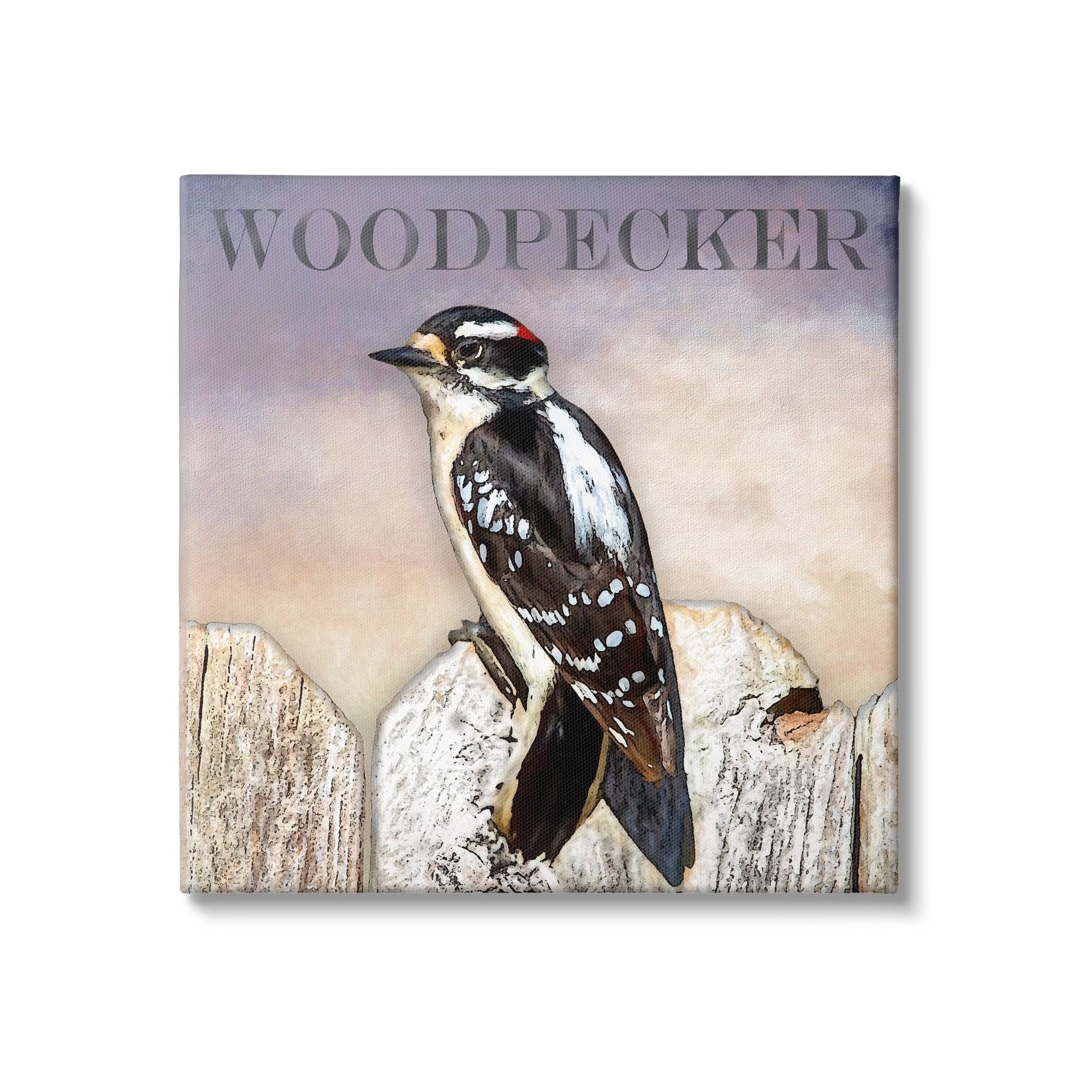 Stupell Industries Woodpecker Bird Perched on Fence Breed Typography Design Graphic Art Gallery Wrapped Canvas Print Wall Art, Design by Alpenglow Workshop