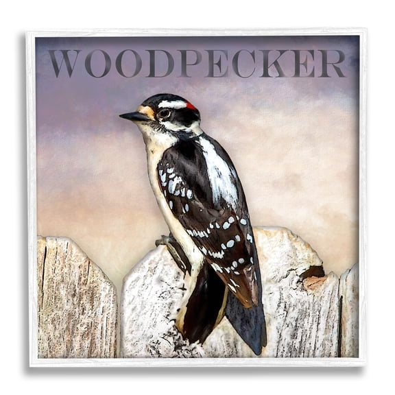 Stupell Industries Woodpecker Bird Perched on Fence Breed Typography Design Graphic Art White Framed Art Print Wall Art, Design by Alpenglow Workshop