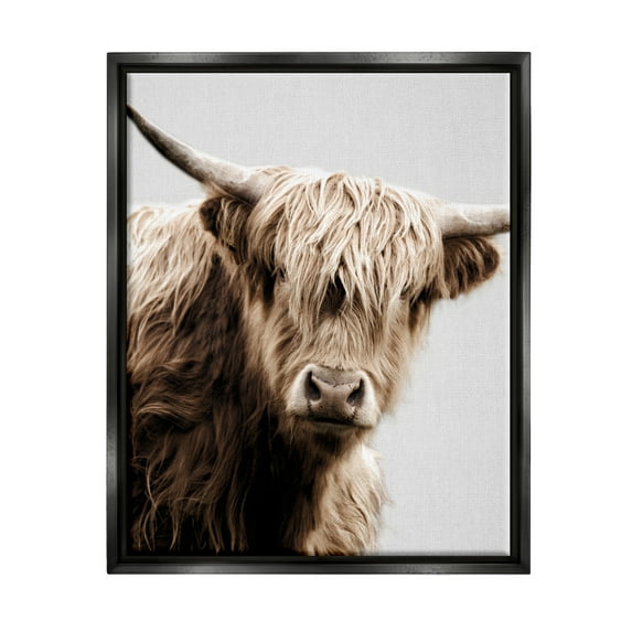 Stupell Industries Wooly Cattle Portrait Animals & Insects Photography Black Floater Framed Canvas Art Print Wall Art, 25 x 31