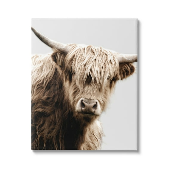 Stupell Industries Wooly Cattle Portrait Animals & Insects Photography Gallery Wrapped Canvas Art Print Wall Art, 30 x 40