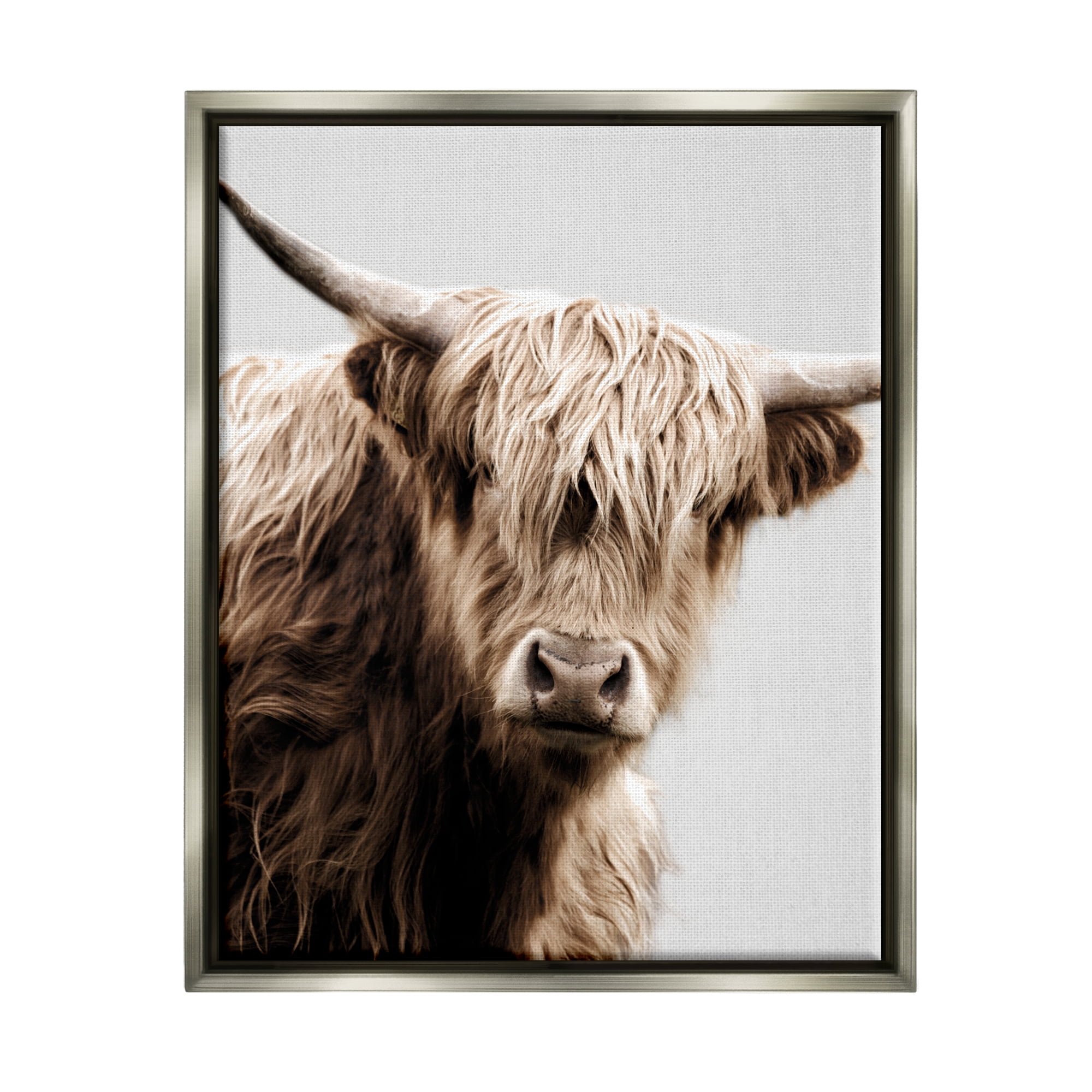 Stupell Industries Wooly Cattle Portrait Animals & Insects Photography Gray Floater Framed Canvas Art Print Wall Art, 25 x 31