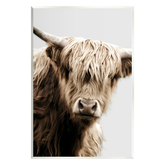 Stupell Industries Wooly Cattle Portrait Animals & Insects Photography Unframed Art Print Wall Art, 10 x 15