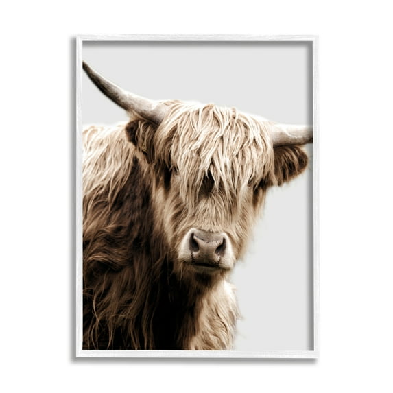Stupell Industries Wooly Cattle Portrait Animals & Insects Photography White Framed Art Print Wall Art, 11 x 14