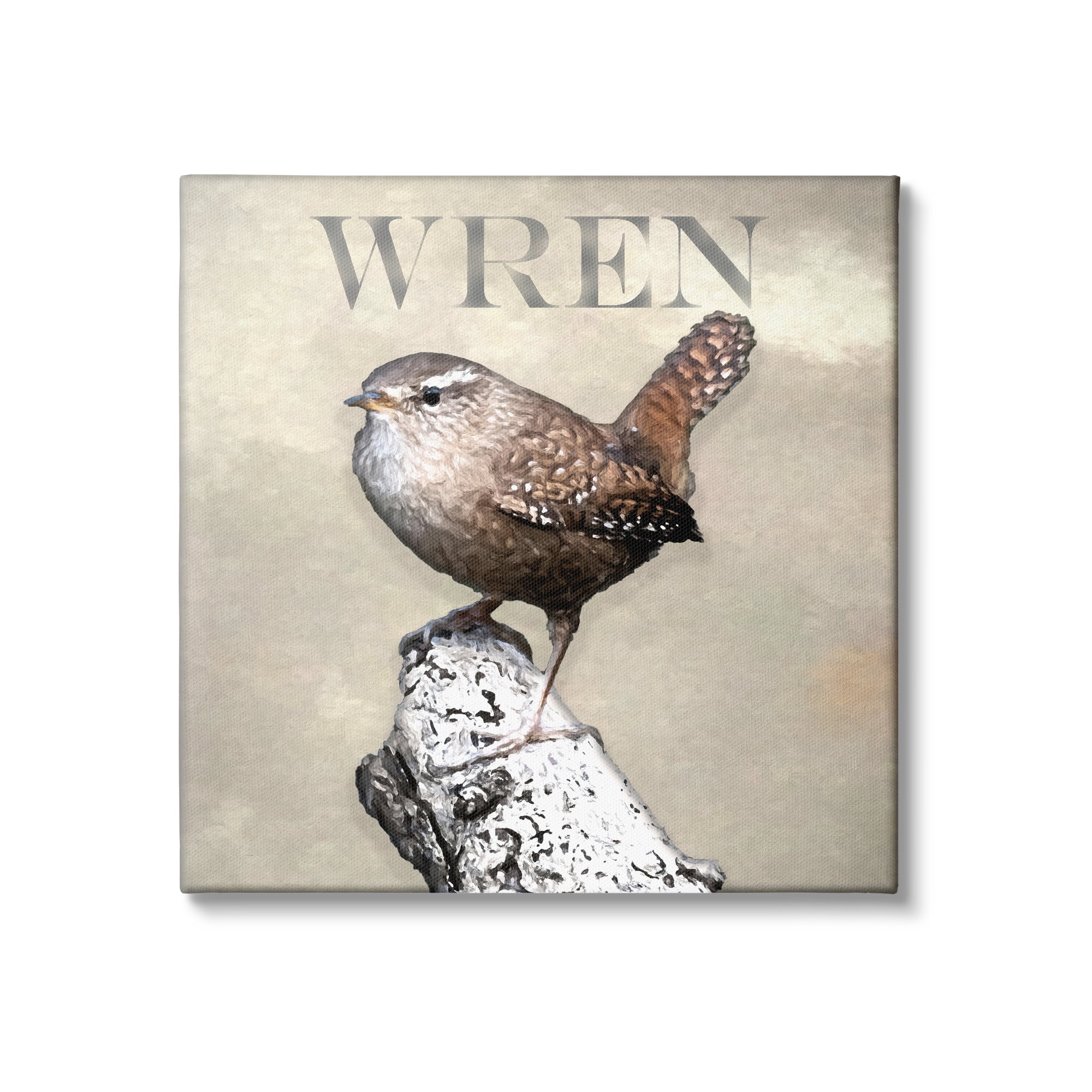 Stupell Industries Wren Bird Standing Casual Nature Breed Typography Graphic Art Gallery Wrapped Canvas Print Wall Art, Design by Alpenglow Workshop