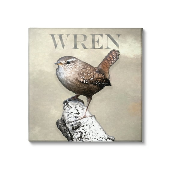 Stupell Industries Wren Bird Standing Casual Nature Breed Typography Graphic Art Gallery Wrapped Canvas Print Wall Art, Design by Alpenglow Workshop