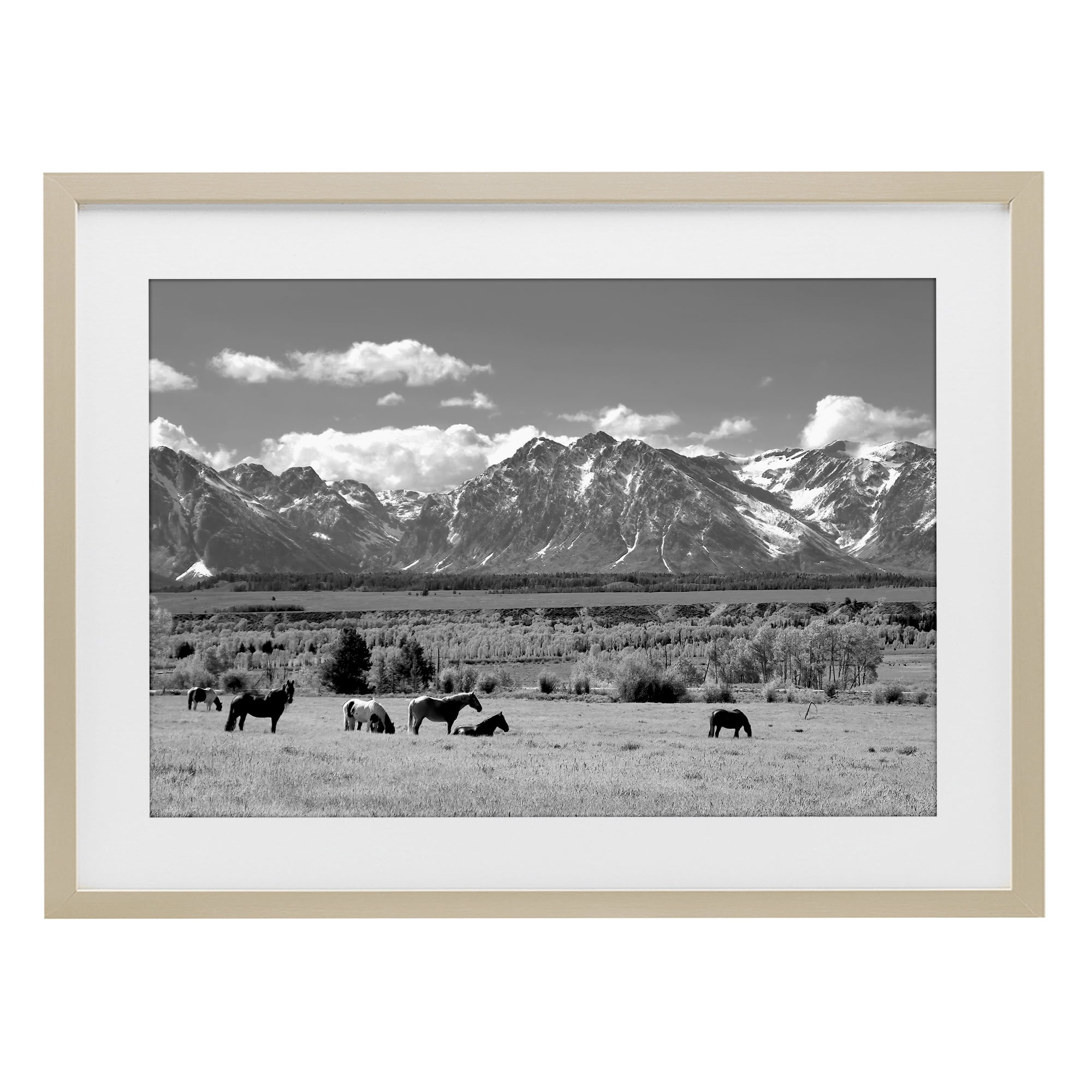 Stupell Industries Wyoming Ranch Horses Grazing Birch Framed Print Under Glass, design by Steve Toole