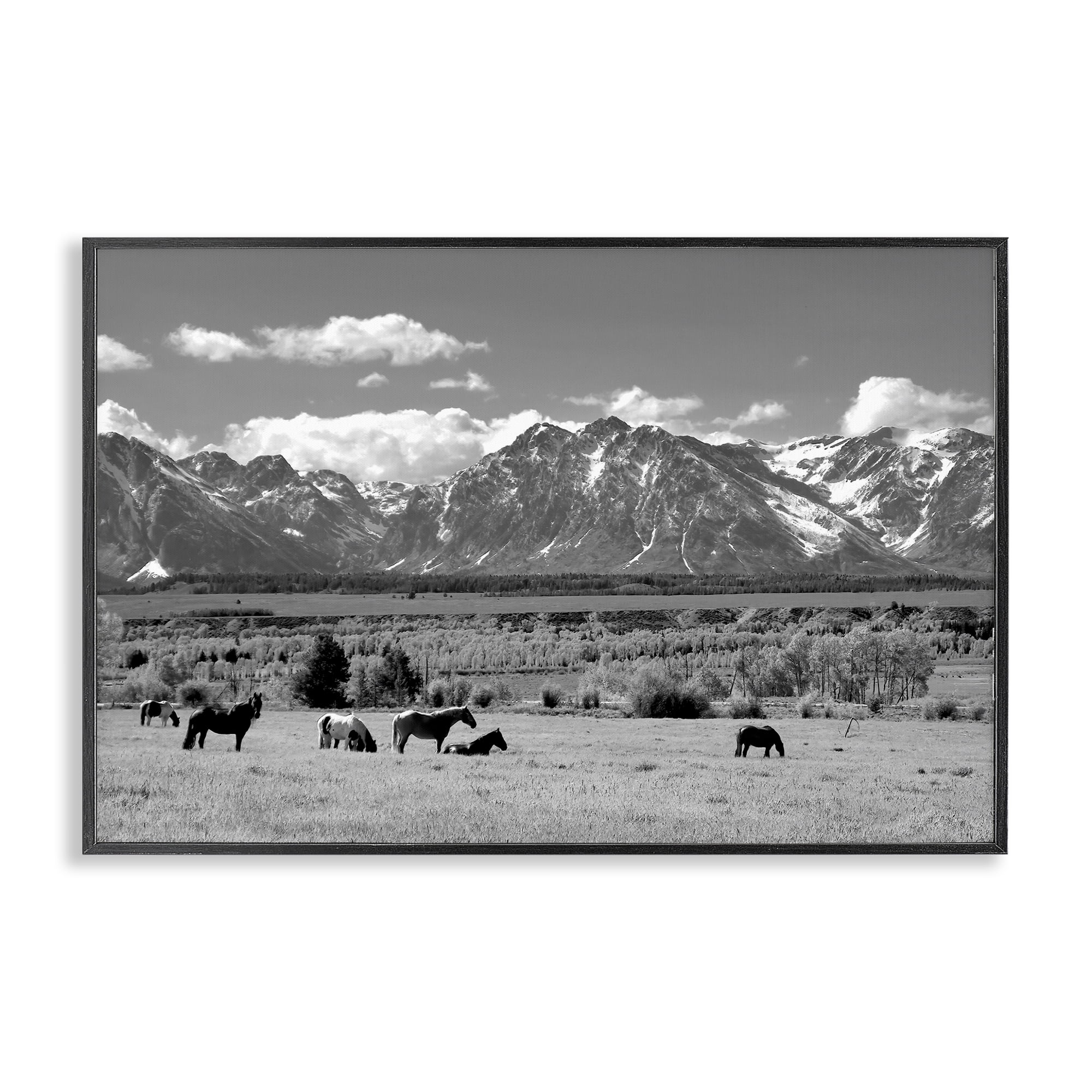 Stupell Industries Wyoming Ranch Horses Grazing Black Framed Giclee Art, design by Steve Toole