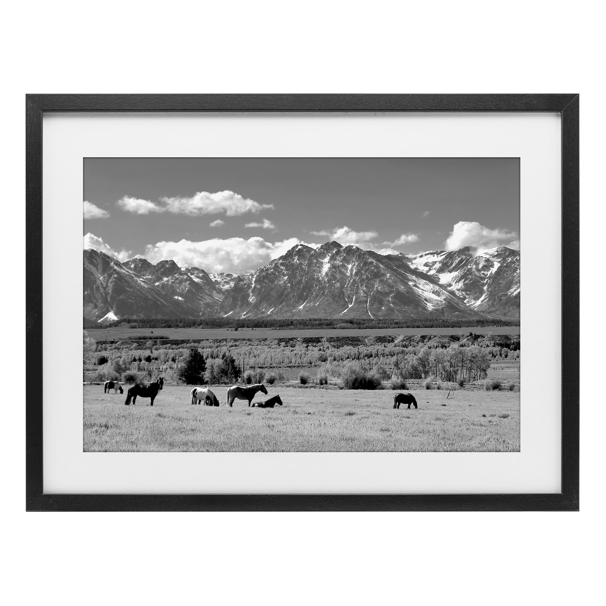 Stupell Industries Wyoming Ranch Horses Grazing Black Framed Print Under Glass, design by Steve Toole