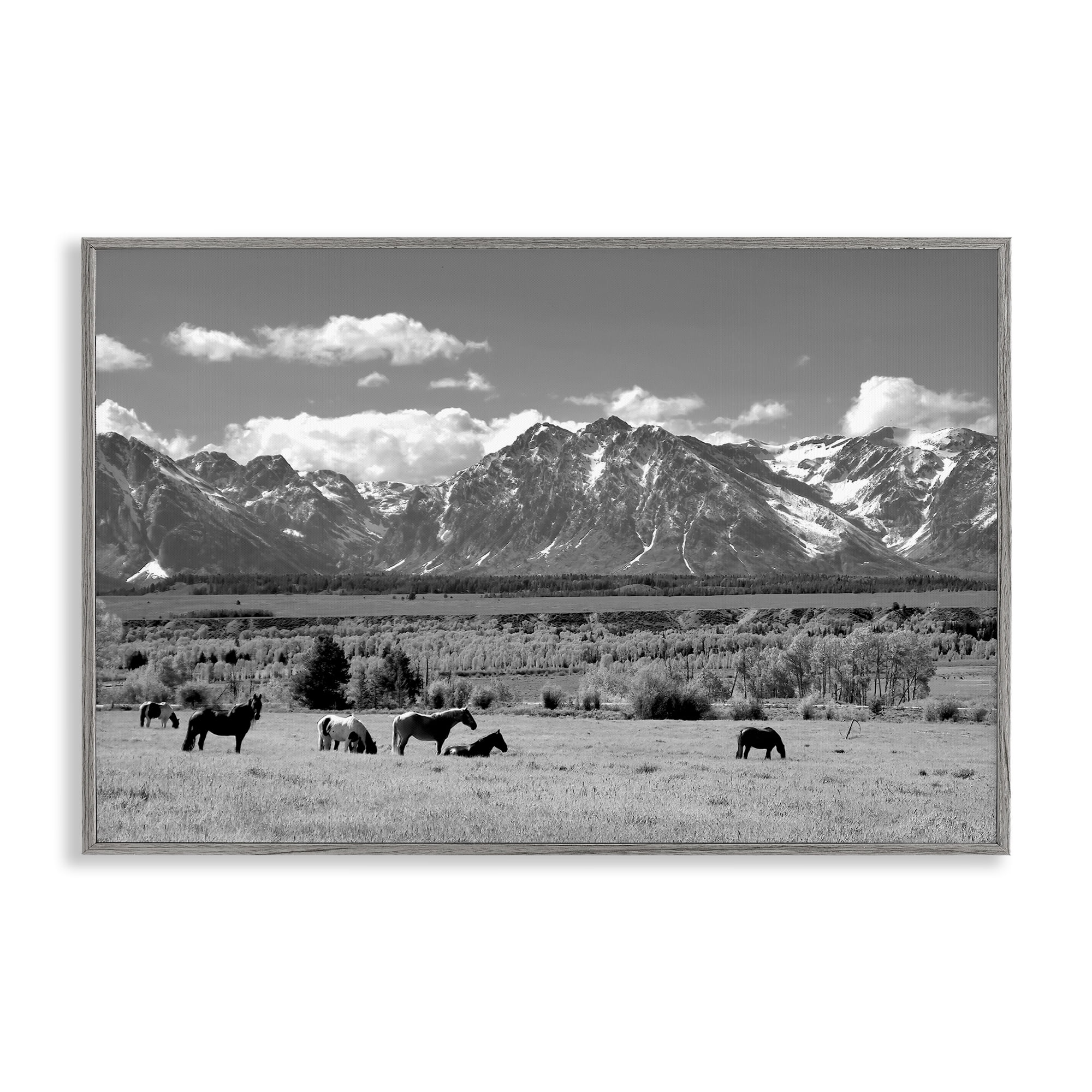 Stupell Industries Wyoming Ranch Horses Grazing Gray Framed Giclee Art, design by Steve Toole