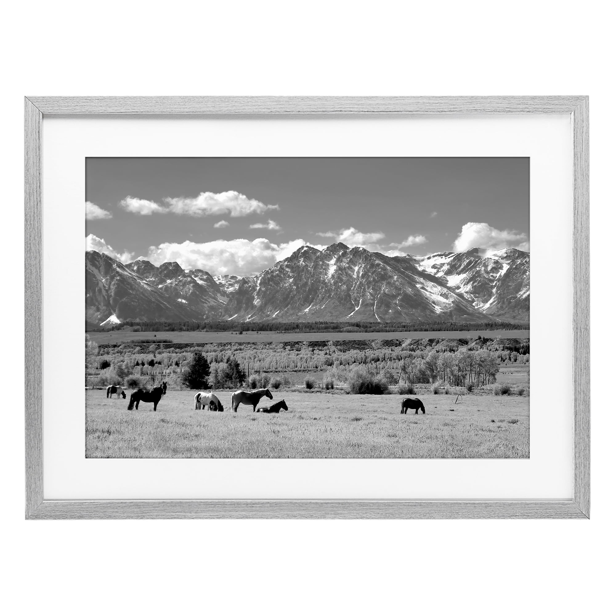 Stupell Industries Wyoming Ranch Horses Grazing Gray Framed Print Under Glass, design by Steve Toole