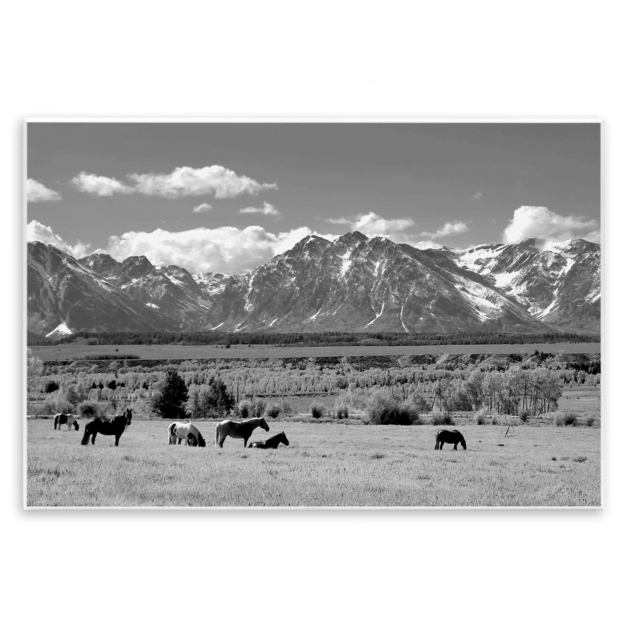 Stupell Industries Wyoming Ranch Horses Grazing Wall Plaque Art, design by Steve Toole