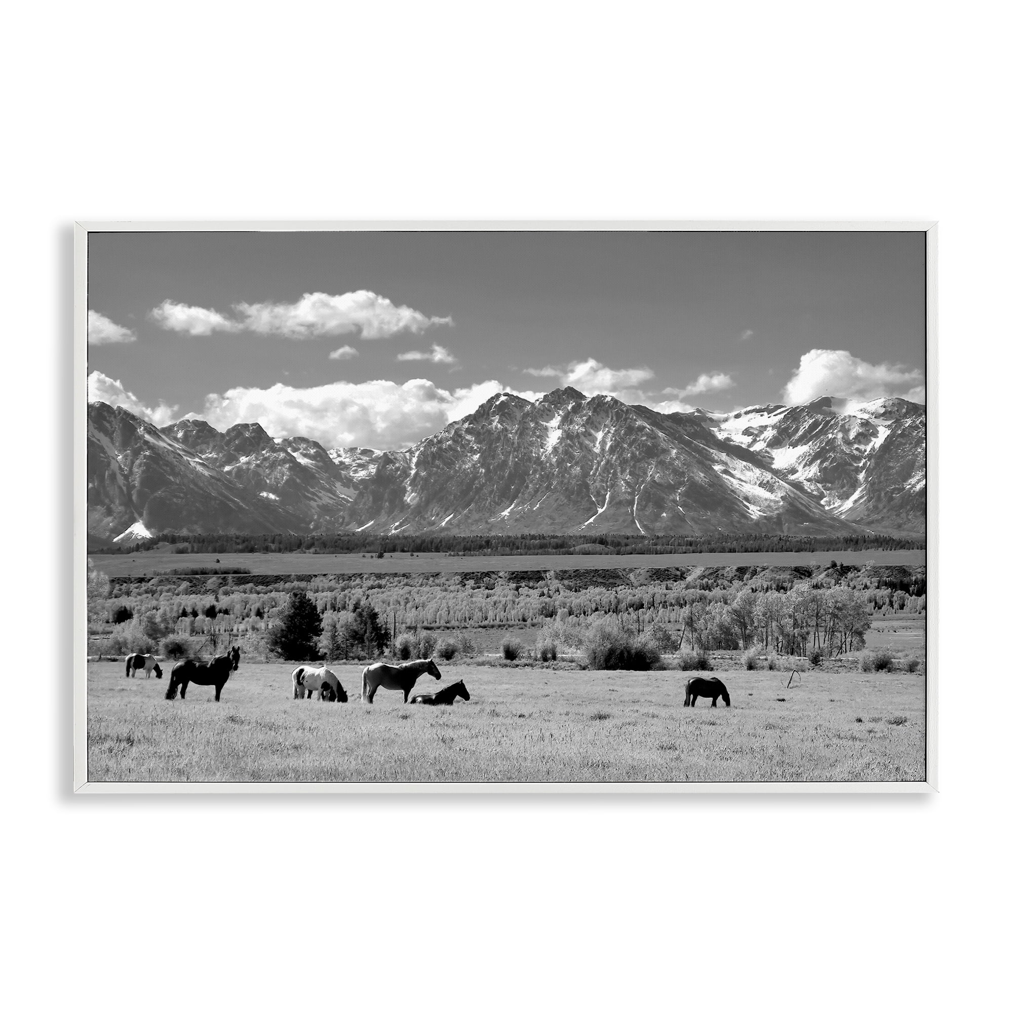 Stupell Industries Wyoming Ranch Horses Grazing White Framed Giclee Art, design by Steve Toole