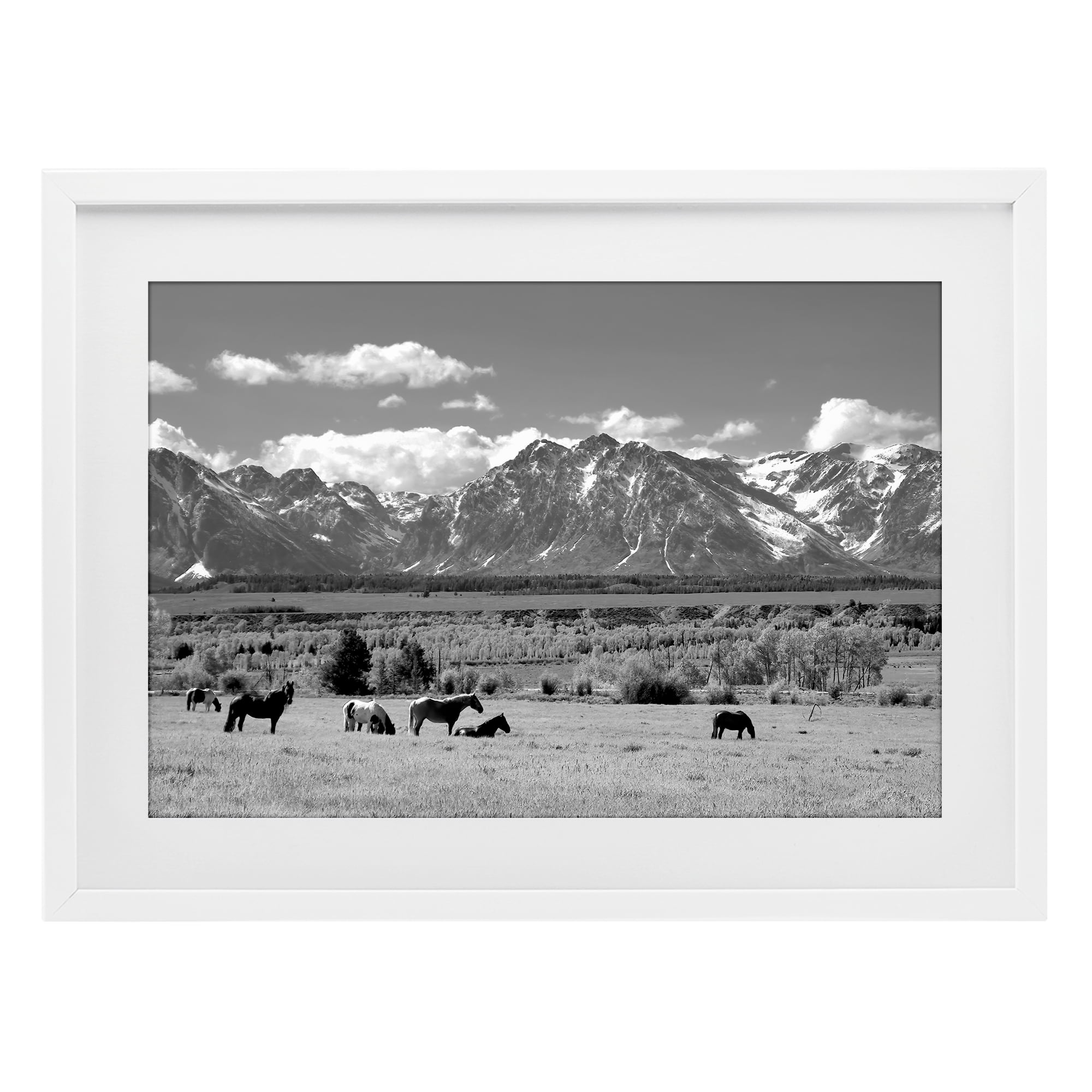 Stupell Industries Wyoming Ranch Horses Grazing White Framed Print Under Glass, design by Steve Toole