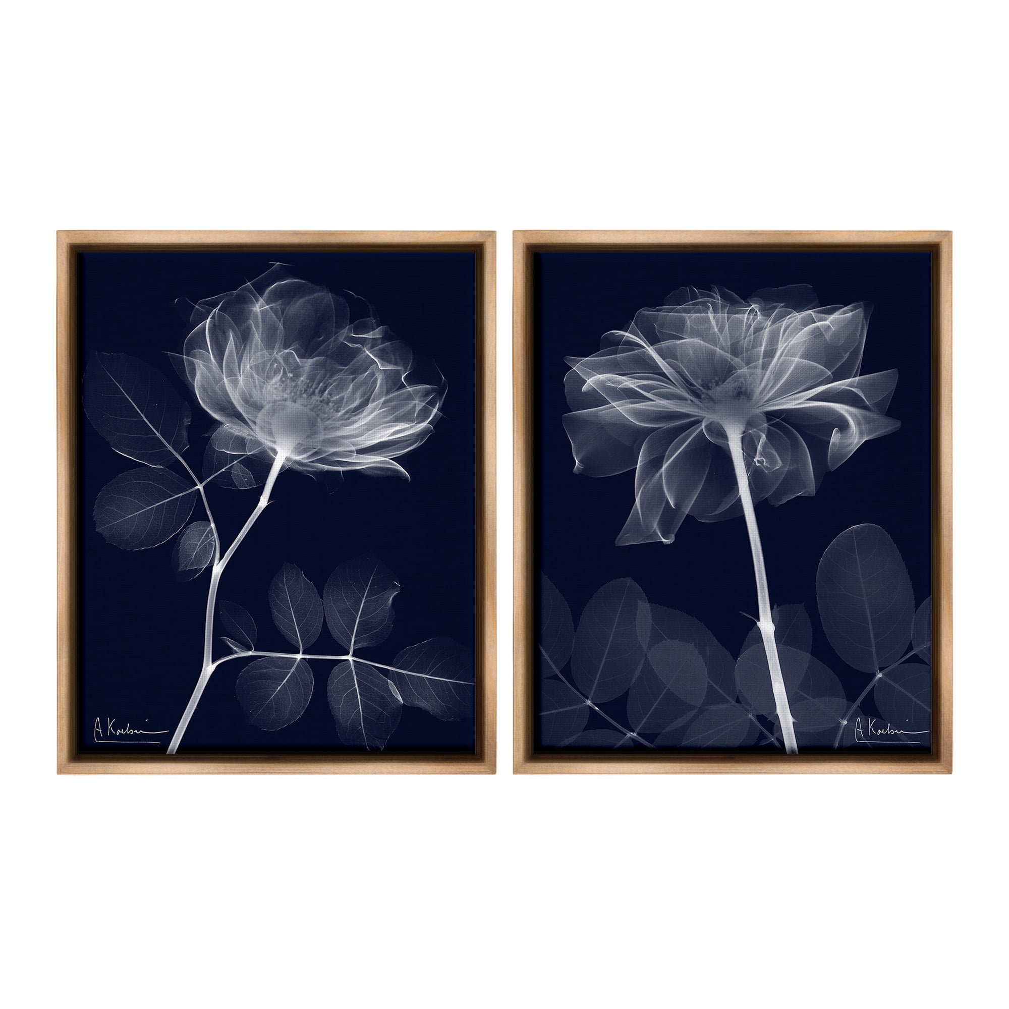 Stupell Industries X-Ray Blossom on Black Botanical & Floral Photography Brown Floater Framed Canvas Art Print Wall Art, 17 x 21, Set of 2