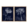 thumbnail image 1 of Stupell Industries X-Ray Blossom on Black Botanical & Floral Photography Brown Floater Framed Canvas Art Print Wall Art, 25 x 31, Set of 2, 1 of 10