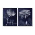 thumbnail image 1 of Stupell Industries X-Ray Blossom on Black Botanical & Floral Photography Gallery Wrapped Canvas Art Print Wall Art, 16 x 20, Set of 2, 1 of 8