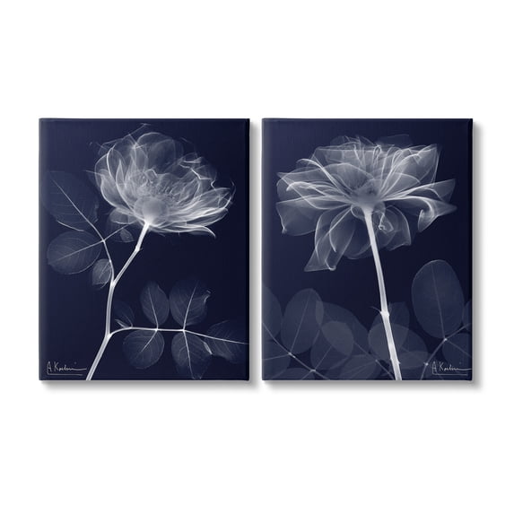 Stupell Industries X-Ray Blossom on Black Botanical & Floral Photography Gallery Wrapped Canvas Art Print Wall Art, 24 x 30, Set of 2